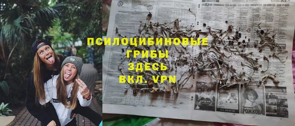 a pvp Богородск