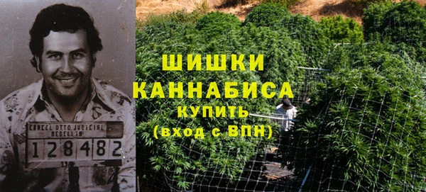 a pvp Богородск