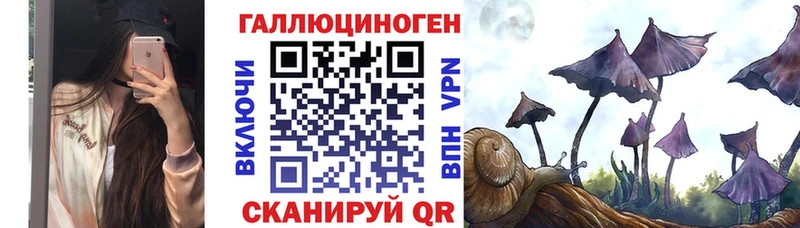 где купить наркотик  Кирсанов  мега ссылки  Галлюциногенные грибы прущие грибы 
